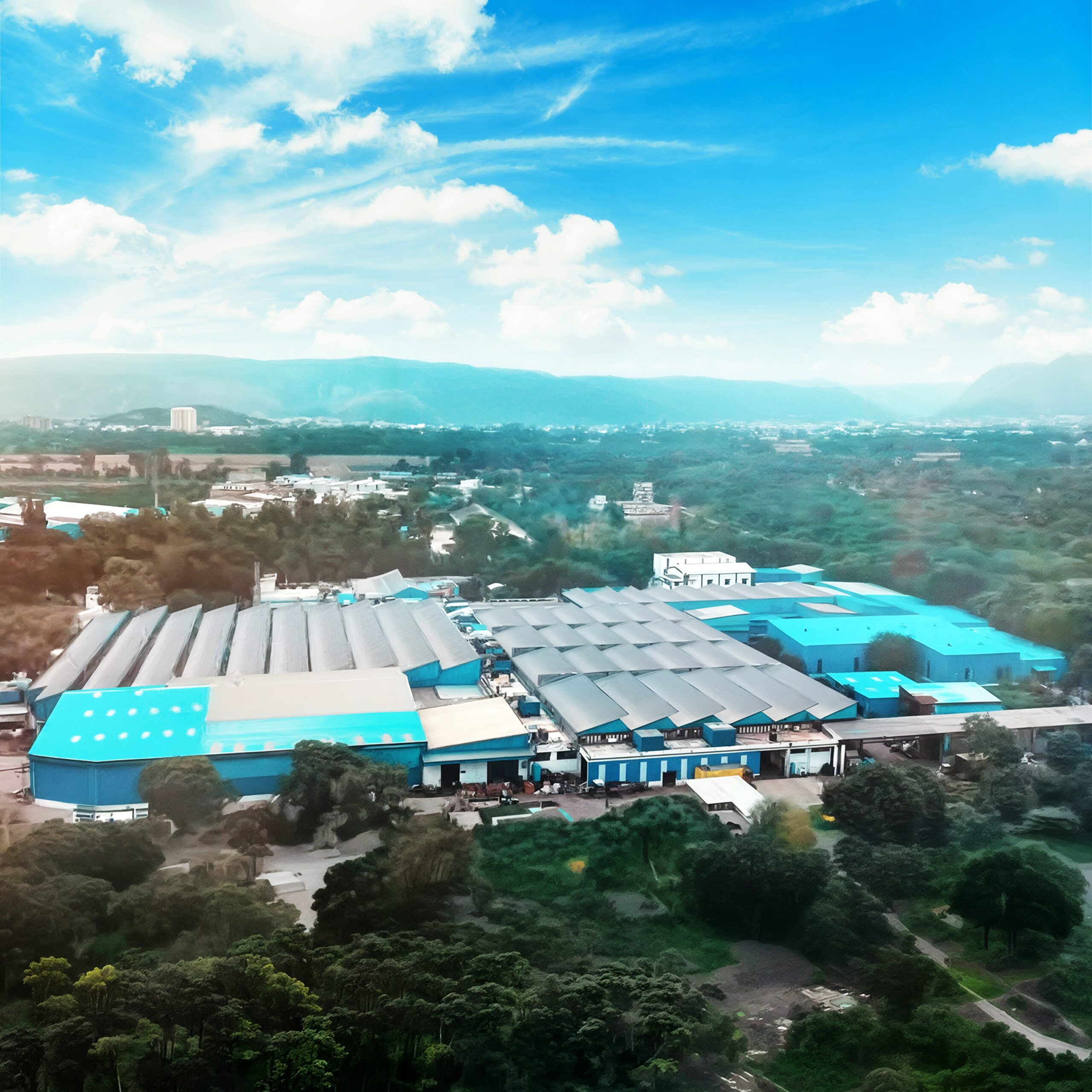 TMTL final Plant bg